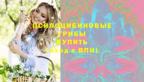 твердый Алексеевка