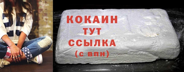 твердый Алексеевка