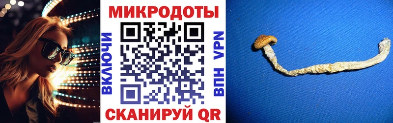 Псилоцибиновые грибы Psilocybine cubensis  OMG зеркало  Сасово  цены  